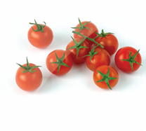 Tomate Cherry
